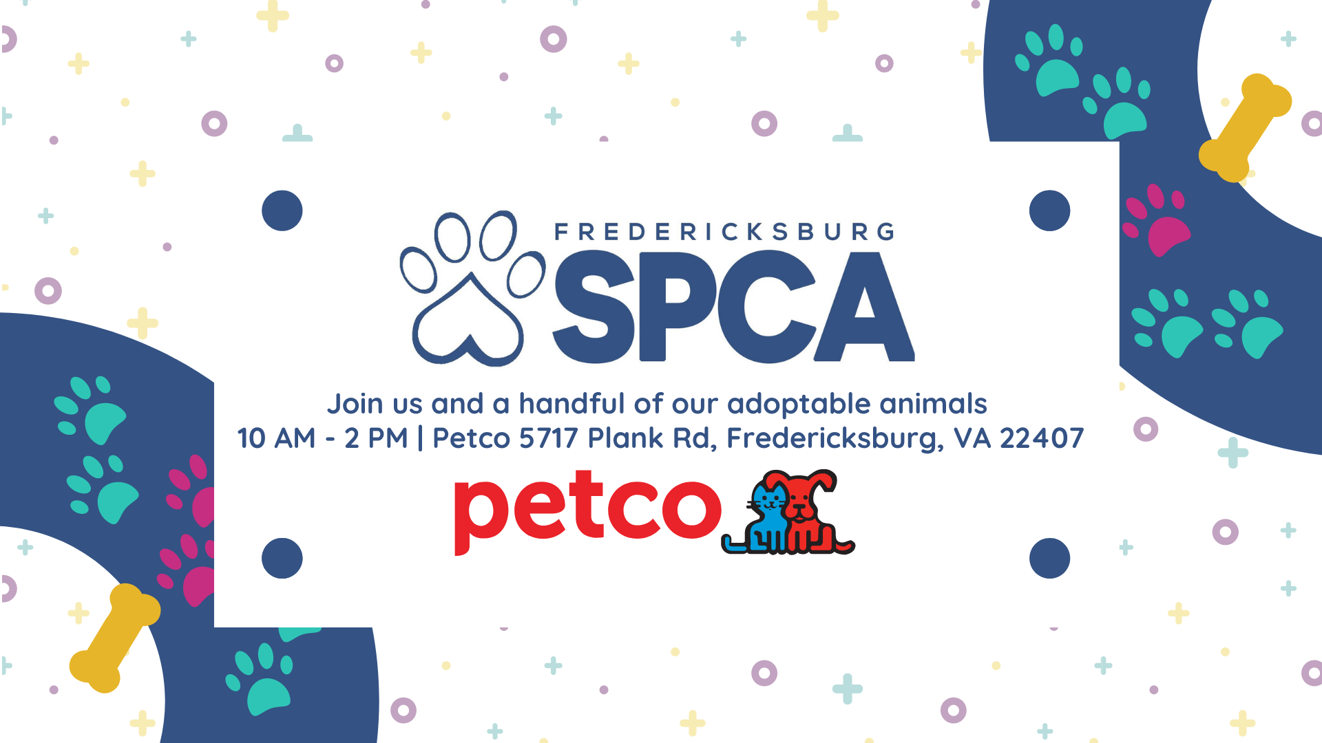 Local Cat Adoption Events in Virginia Petco Stores