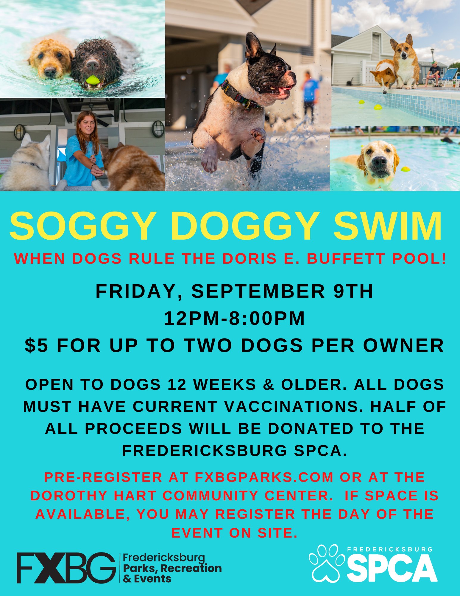https://fredspca.org/wp-content/uploads/2022/08/Soggy-Doggy-Swim.jpg
