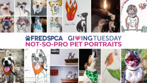 https://fredspca.org/wp-content/uploads/2023/11/NOT-SO-PRO-PET-PORTRAITS-Giving-Tues-2023-300x169.png