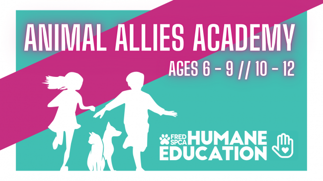 Animal Allies Academy 2025