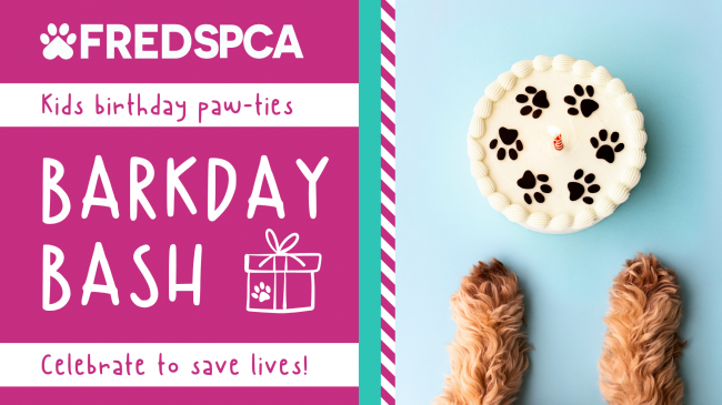 BARKDAY BASH