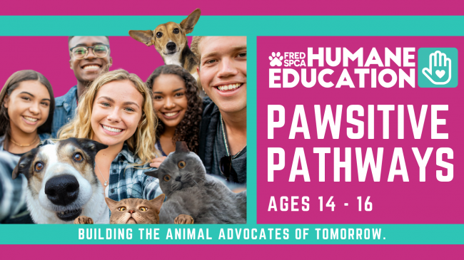 PAWSITIVE PAthways