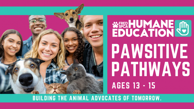 Pawsitive Pathways 2025